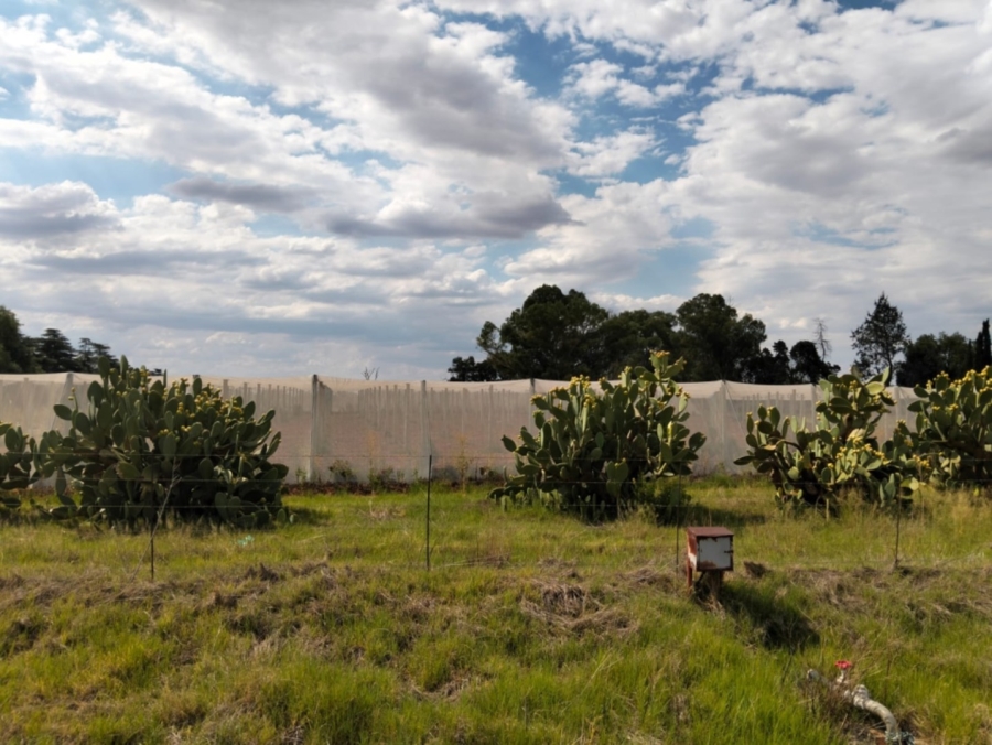 4 Bedroom Property for Sale in Bainsvlei Free State